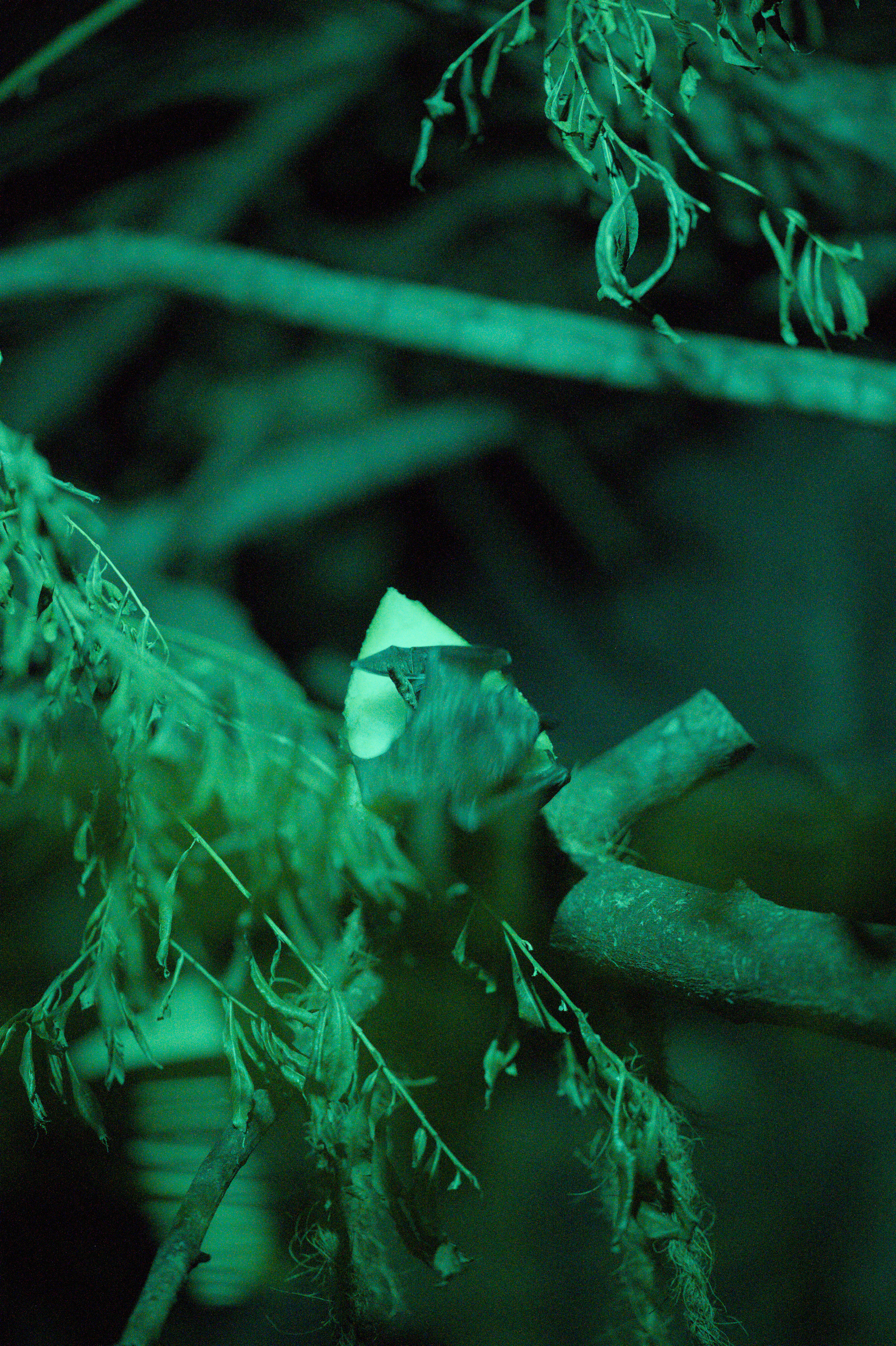 2025/10/12 - zoo/DSC_0273.jpg